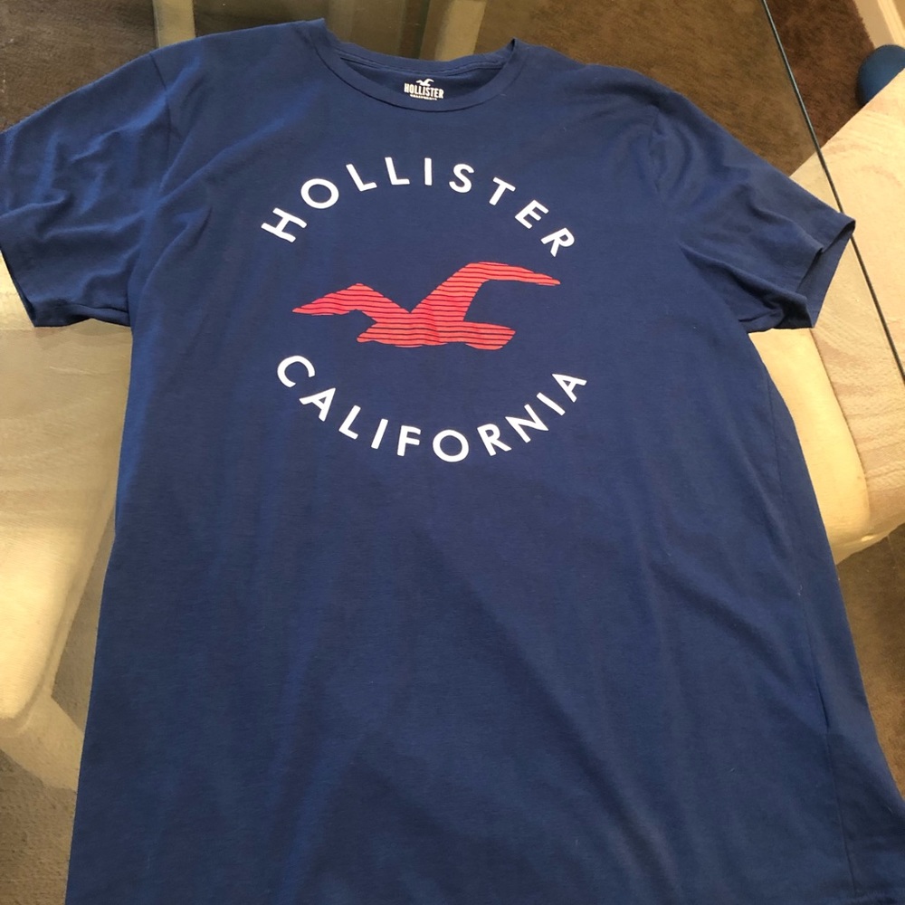 Hollister T Shirt